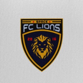 FC LIONS