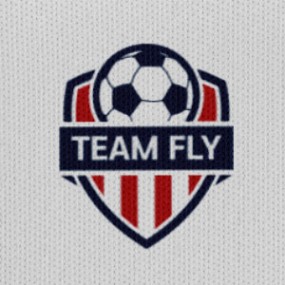 TEAM FLY